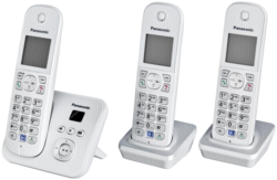 Teléfonos -inalámbricos-: Panasonic KX-TG6823GS plata perla