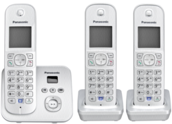 Teléfonos -inalámbricos-: Panasonic KX-TG6823GS plata perla